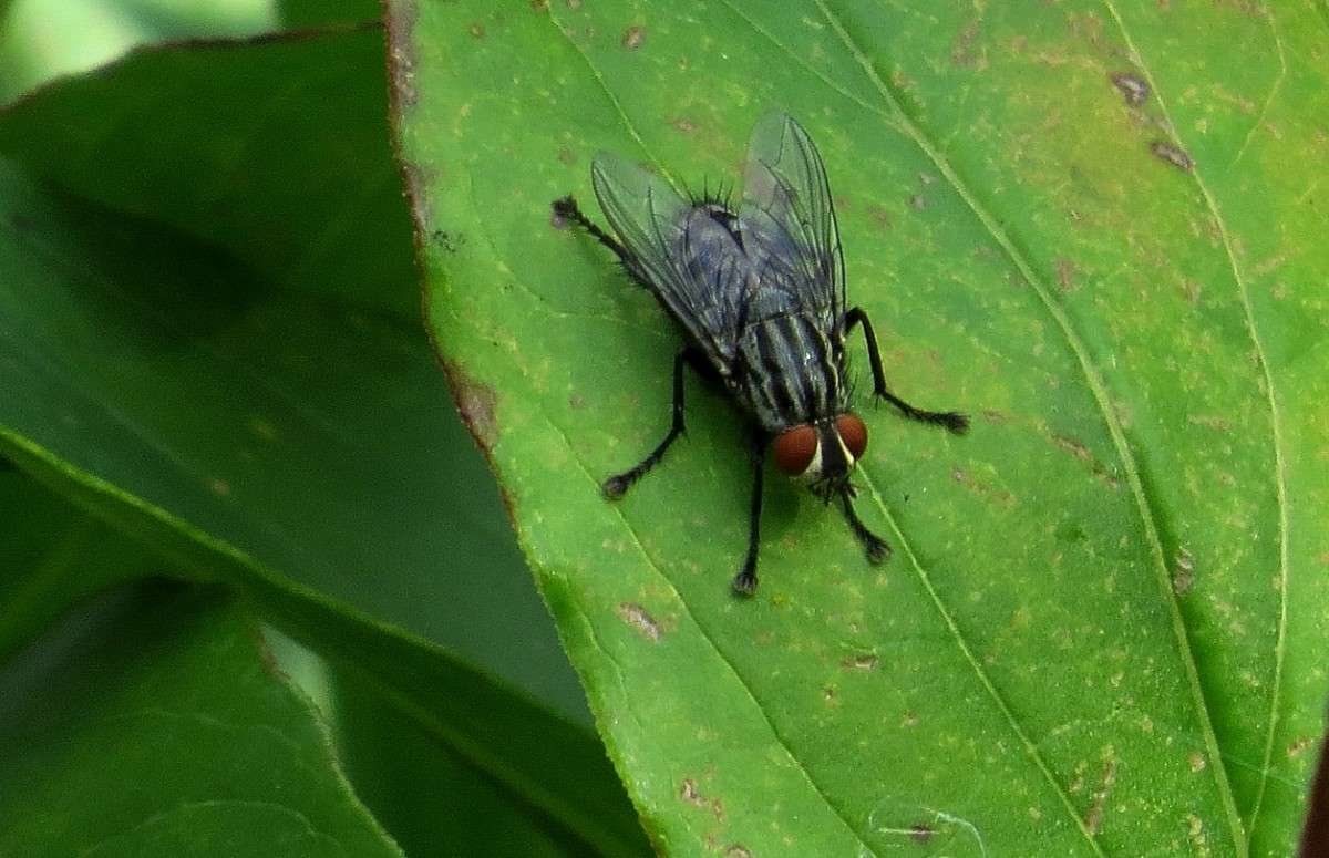 ... ����� Natali  ��������� �� PhotoGeek.ru #�������� ���