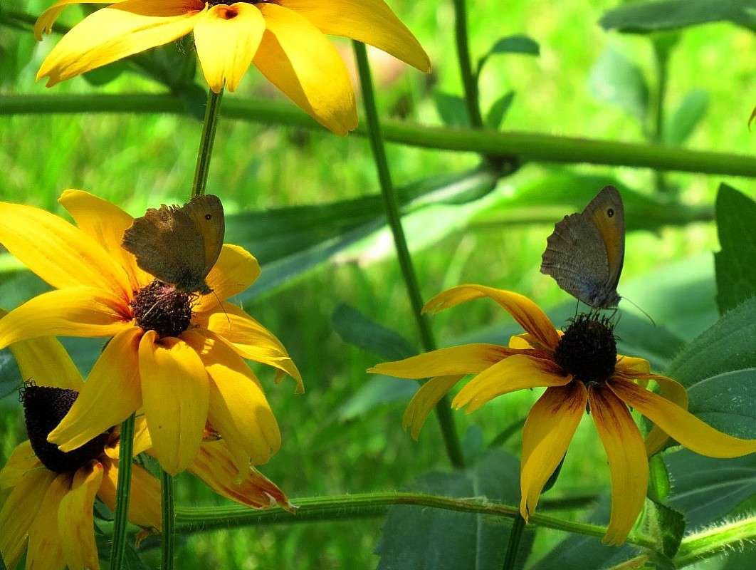 ... ����� Natali  ��������� �� PhotoGeek.ru #�������� ��� #������ ��� ������� #����� ��������������