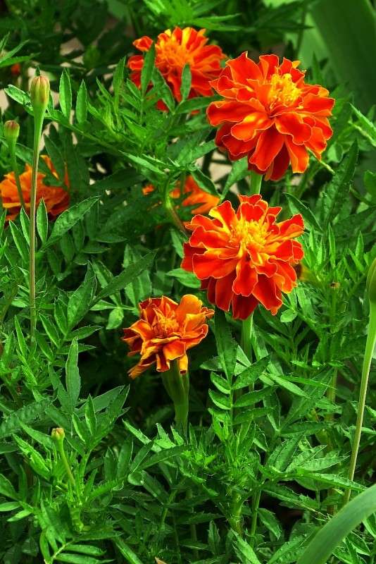 ... ����� Natali  ��������� �� PhotoGeek.ru #������ ��� ������� #����� ��������������