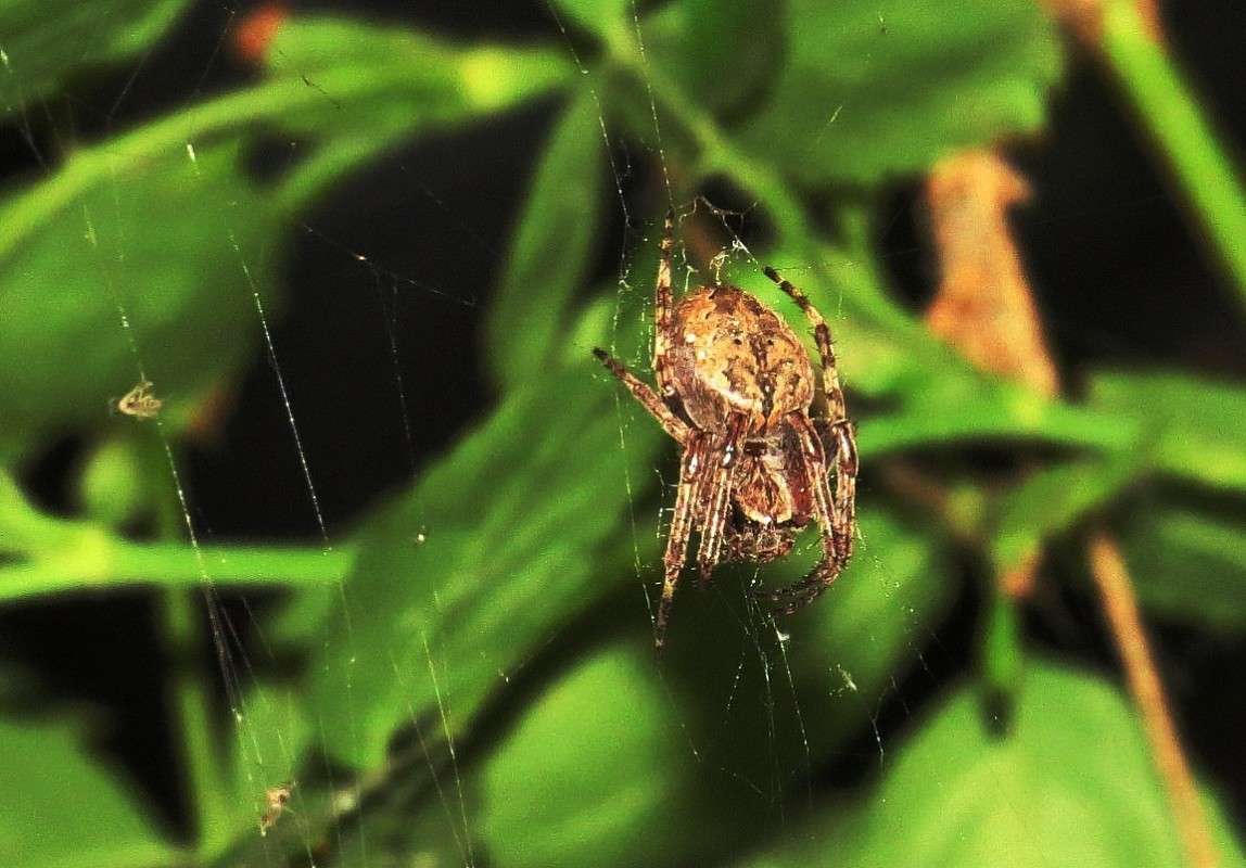 ������ ������� 2 ))) ����� Natali  ��������� �� PhotoGeek.ru #�������� ��� #������ ��� �������