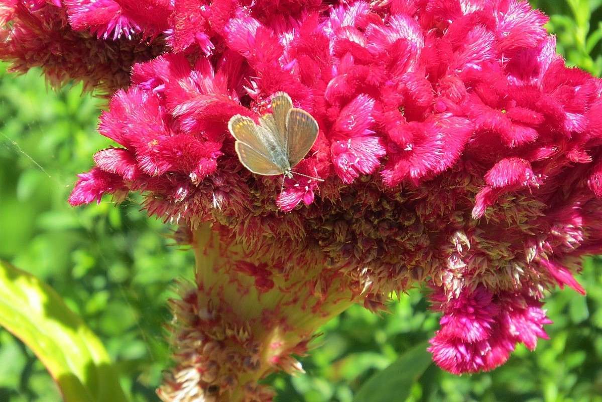 ��������� ���� ))) ����� Natali  ��������� �� PhotoGeek.ru #�������� ��� #������ ��� ������� #����� ��������������