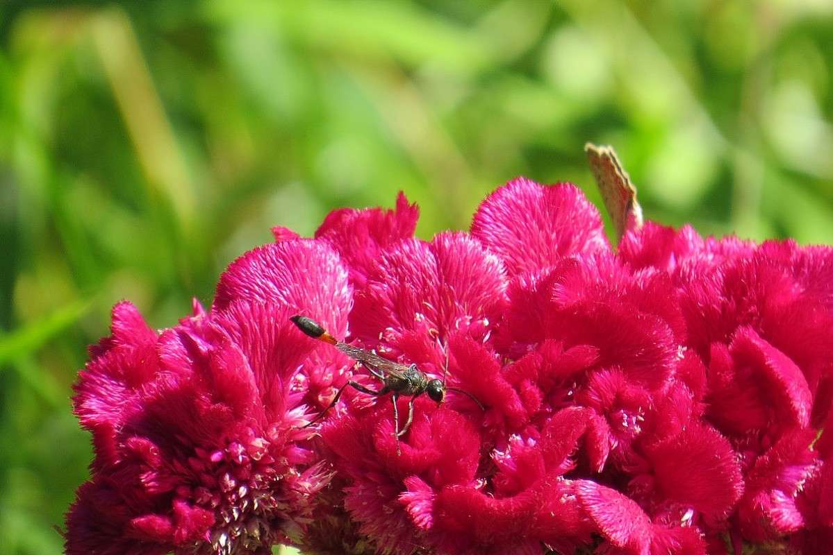 �� ��������� �������� ))) ����� Natali  ��������� �� PhotoGeek.ru #�������� ��� #������ ��� �������