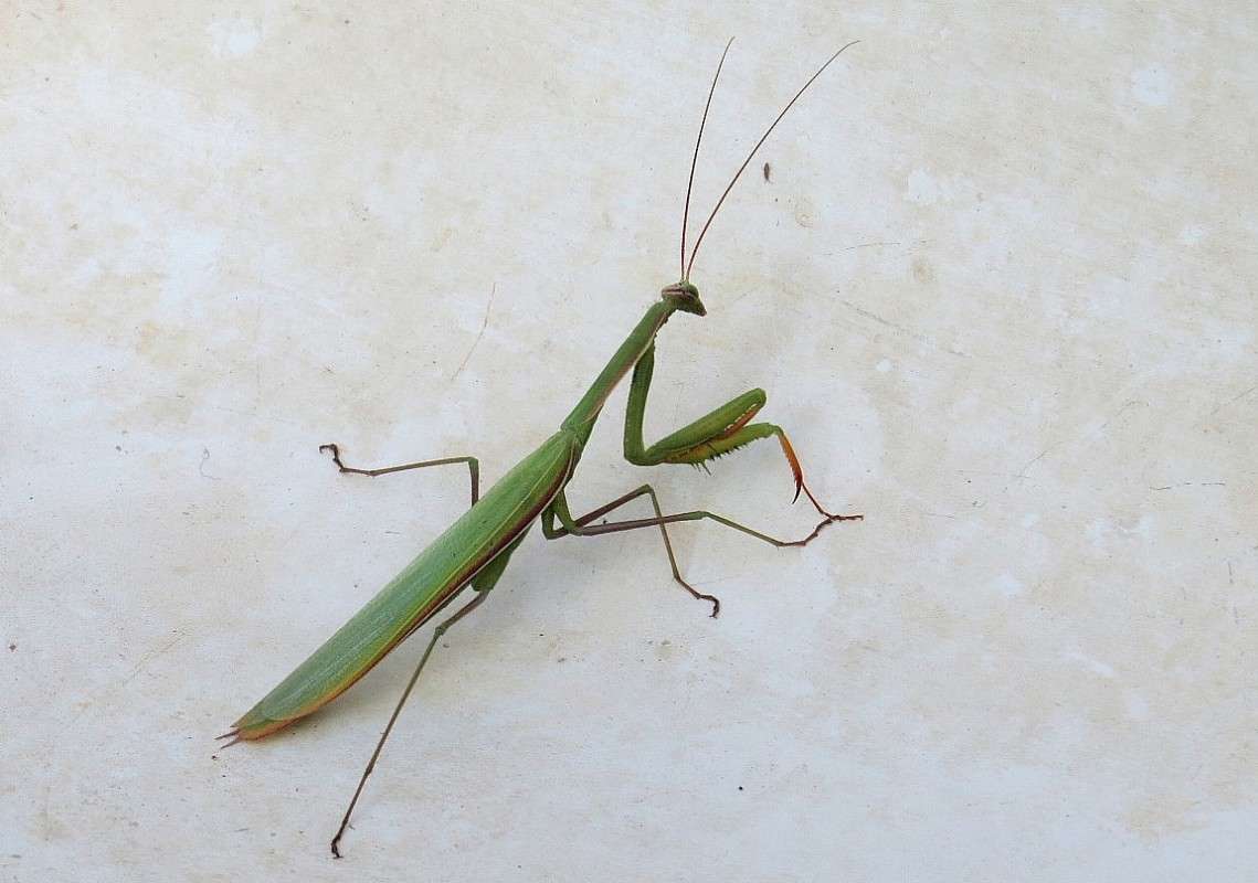 ��� �������� � ������ ))) ����� Natali  ��������� �� PhotoGeek.ru #�������� ���