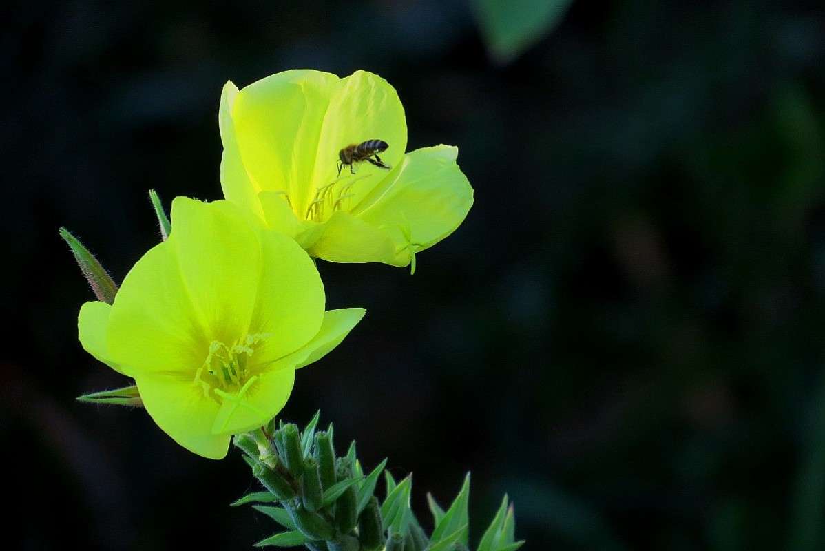 �� ������� ) ����� Natali  ��������� �� PhotoGeek.ru #������ ��� ������� #����� ��������������