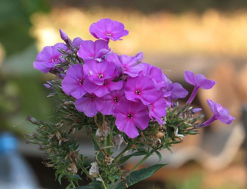 �������� 2 ����� Natali  ��������� �� PhotoGeek.ru #������ ��� ������� #����� ��������������