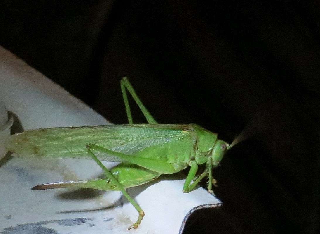 ������ ����� ))) ����� Natali  ��������� �� PhotoGeek.ru #�������� ���