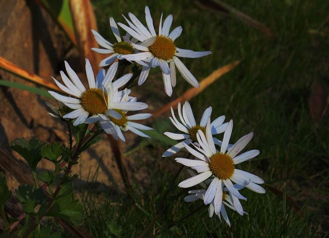 ��������� ����� Natali  ��������� �� PhotoGeek.ru #������ ��� ������� #����� ��������������