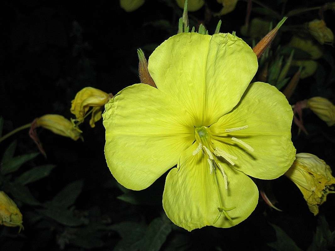 ������ �������� 2 ����� Natali  ��������� �� PhotoGeek.ru #����� ��������������