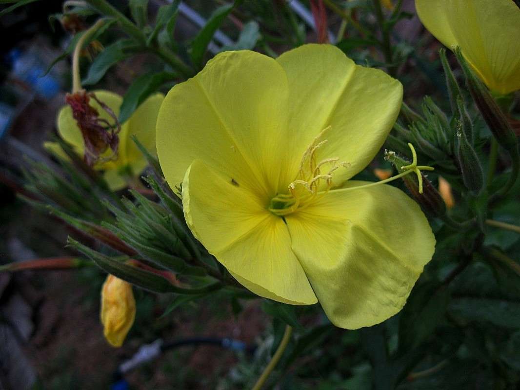 ������ �������� ����� Natali  ��������� �� PhotoGeek.ru #����� ��������������