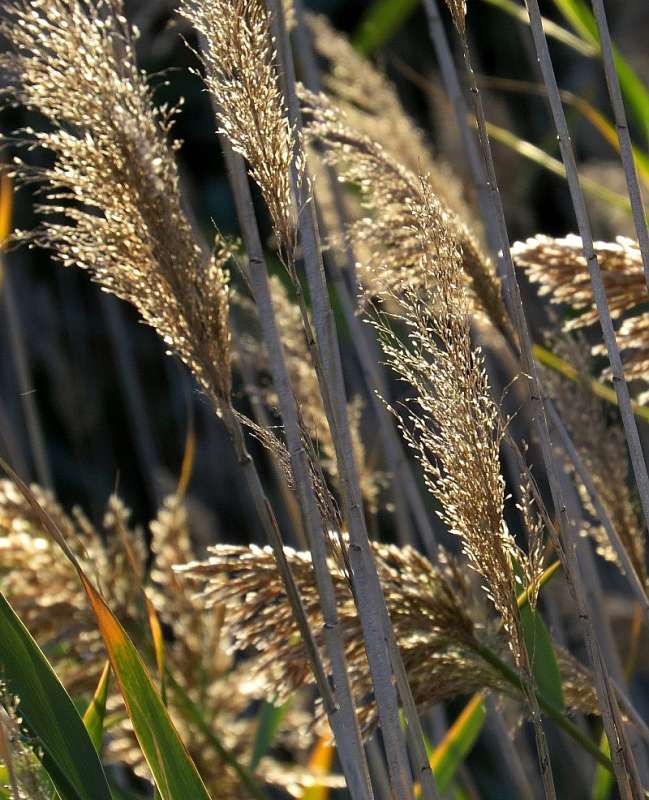 ������ �������� 3 �� �����. ����� Natali  ��������� �� PhotoGeek.ru #����� ��������������