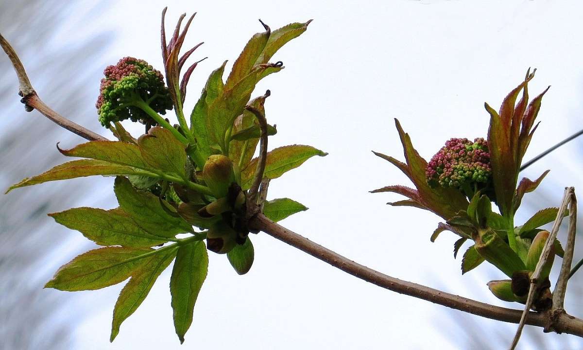 � ������� ������ ... ����� Natali  ��������� �� PhotoGeek.ru #����� ��������������