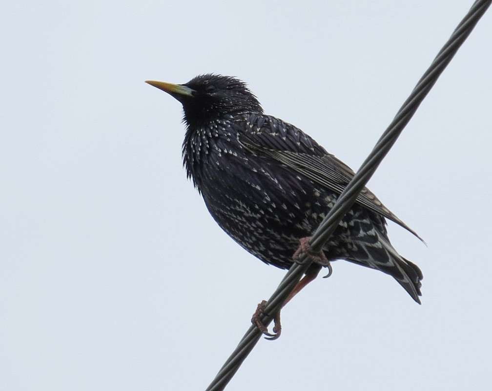 ������� ��������� ... ����� Natali  ��������� �� PhotoGeek.ru #�������� ��� #����� ��� ��� ���������