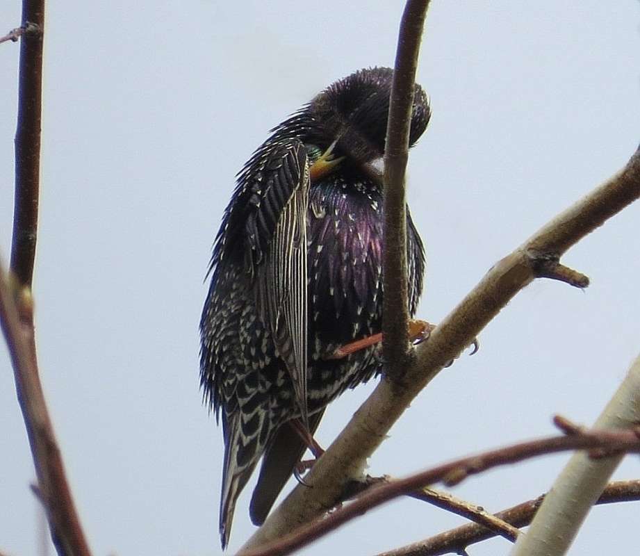 ������� ��������� ...2 ����� Natali  ��������� �� PhotoGeek.ru #�������� ��� #����� ��� ��� ���������