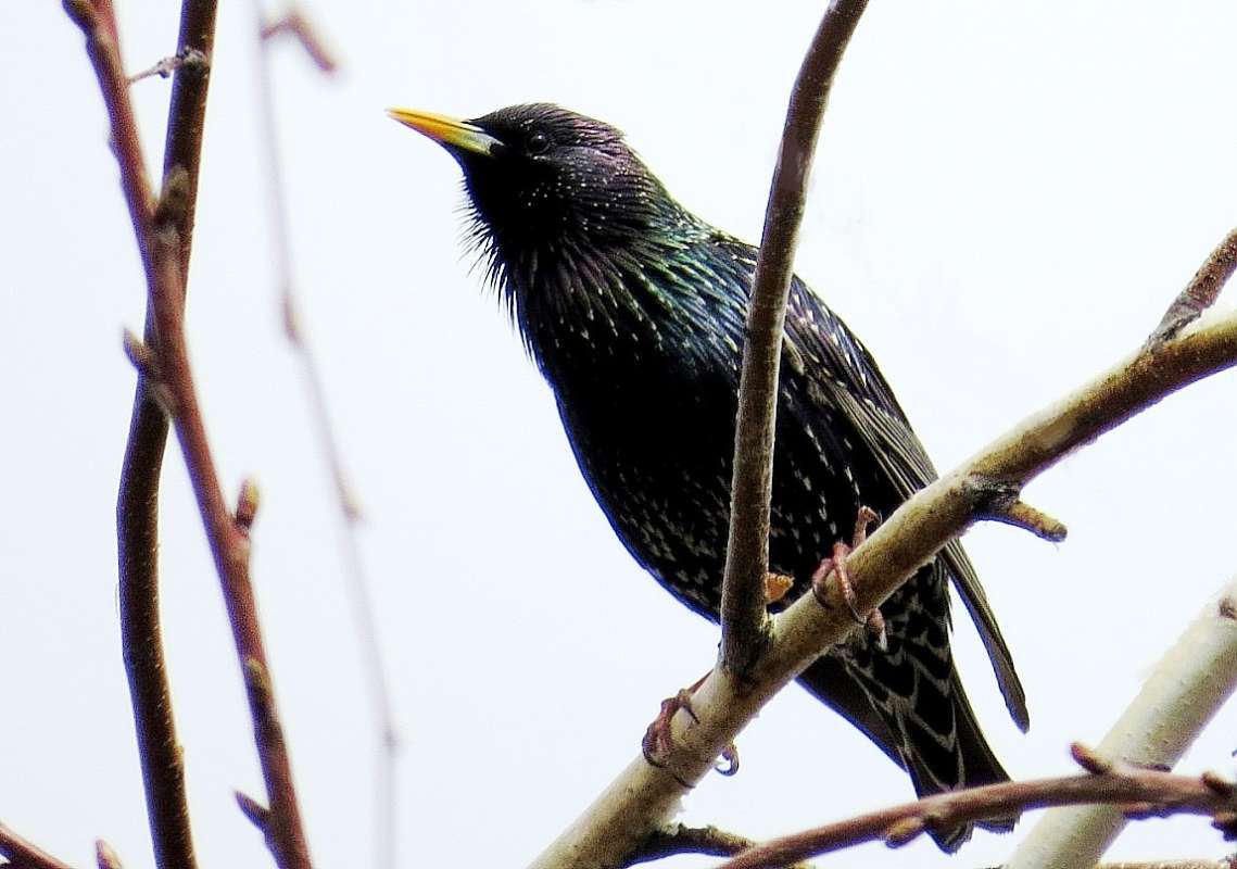 ������� ��������� ...3 ����� Natali  ��������� �� PhotoGeek.ru #�������� ��� #����� ��� ��� ���������