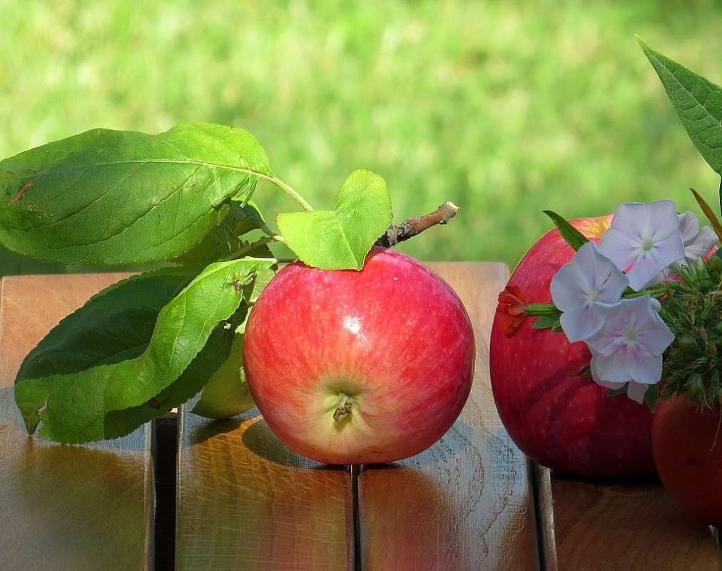 �� ����  2 ����� Natali  ��������� �� PhotoGeek.ru #����� ��������������