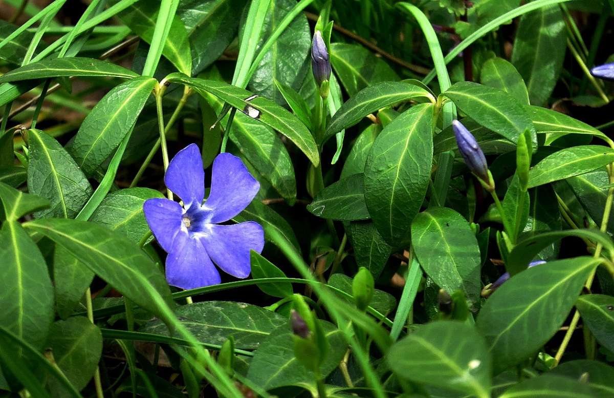 ����� 2017 ����� Natali  ��������� �� PhotoGeek.ru #����� ��������������