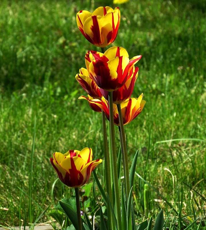 ����� 2017 ����� Natali  ��������� �� PhotoGeek.ru #������ ��� �������