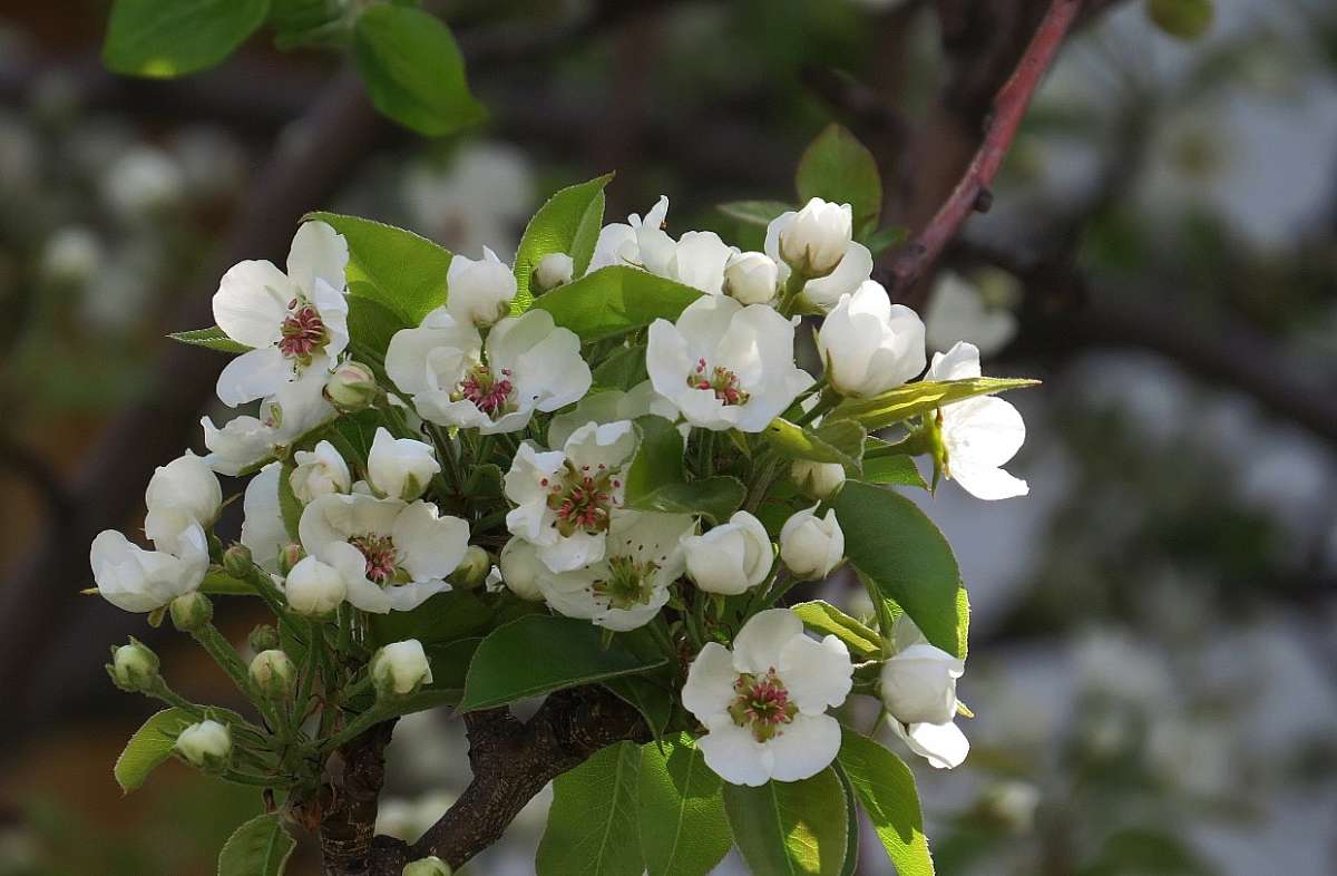 ����� 2017 ����� Natali  ��������� �� PhotoGeek.ru #������ ��� �������