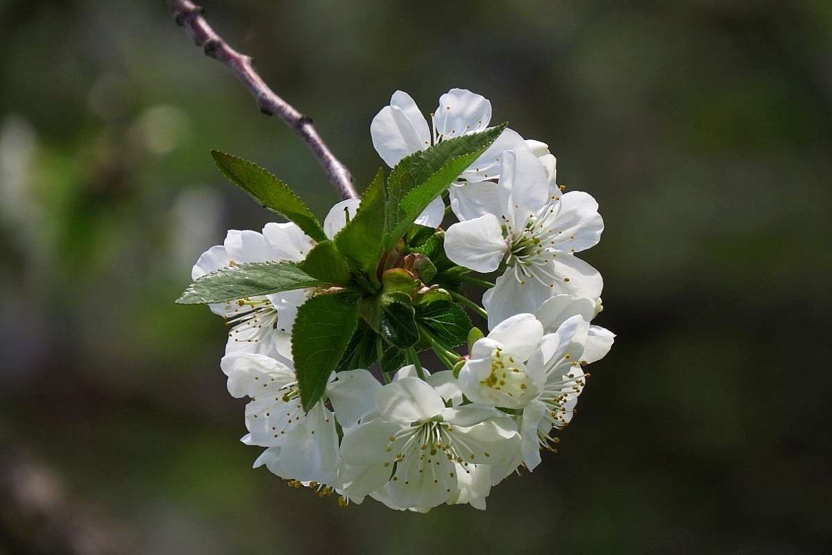 ����� 2017 ����� Natali  ��������� �� PhotoGeek.ru #������ ��� �������