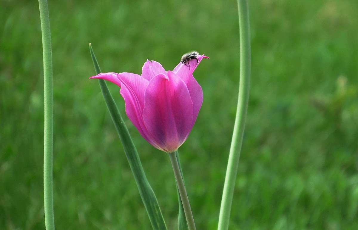 ����� 2017 ����� Natali  ��������� �� PhotoGeek.ru #������ ��� �������