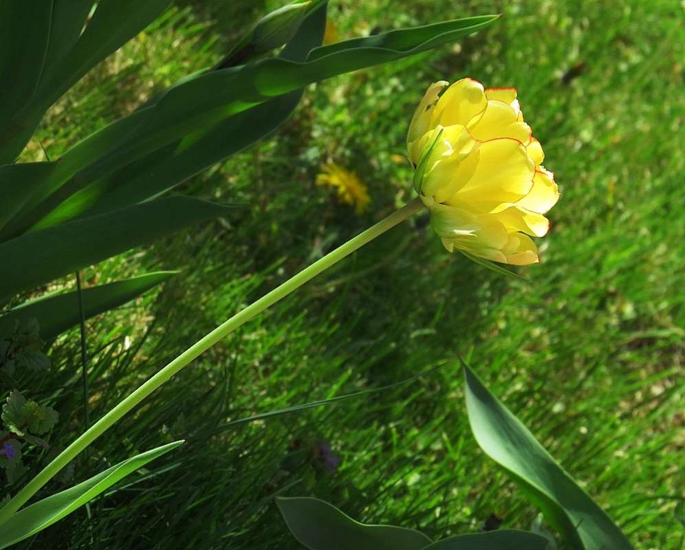 ����� 2017 ����� Natali  ��������� �� PhotoGeek.ru #������ ��� �������