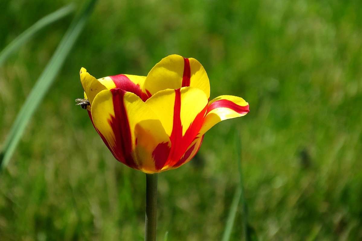 ����� 2017 ����� Natali  ��������� �� PhotoGeek.ru #������ ��� �������