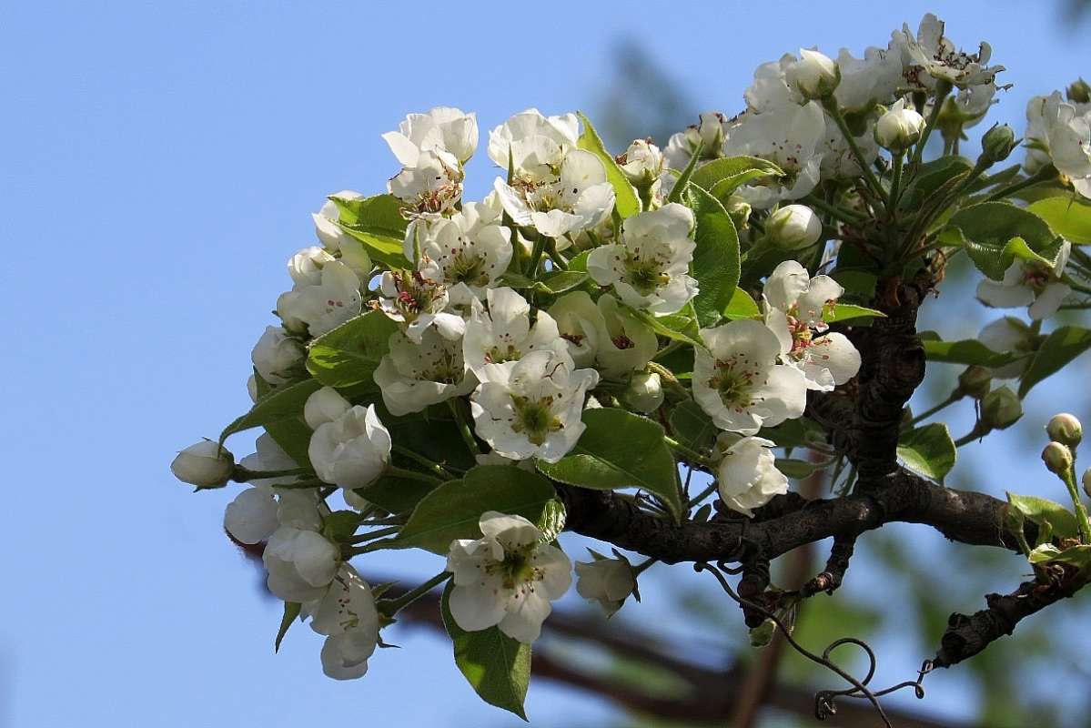 ����� 2017 ����� Natali  ��������� �� PhotoGeek.ru #������ ��� �������