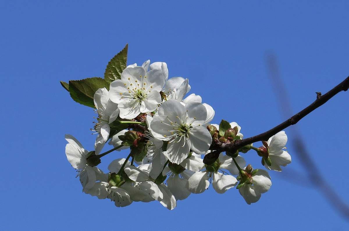 ����� 2017 ����� Natali  ��������� �� PhotoGeek.ru #������ ��� �������