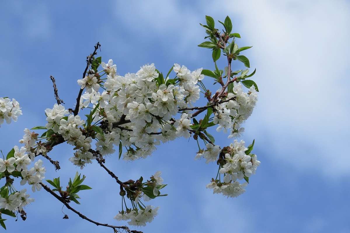 ����� 2017 ����� Natali  ��������� �� PhotoGeek.ru #������ ��� �������