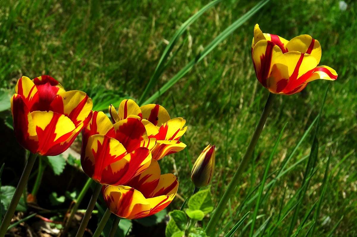 ... ����� Natali  ��������� �� PhotoGeek.ru #������ ��� �������