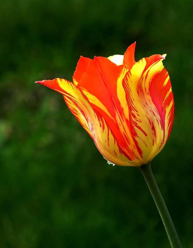 �������� � ��������� ^__^ ����� Natali  ��������� �� PhotoGeek.ru #������ ��� �������