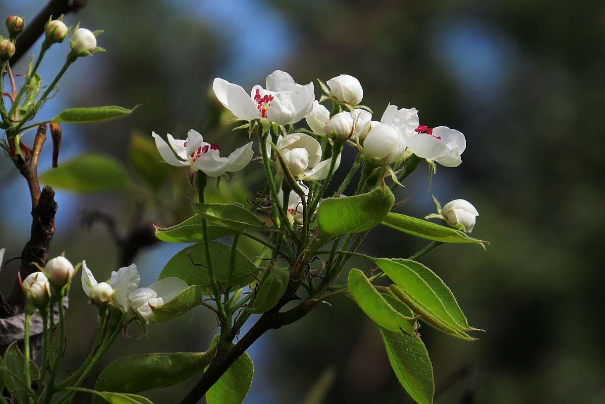 ... ����� Natali  ��������� �� PhotoGeek.ru #������ ��� �������