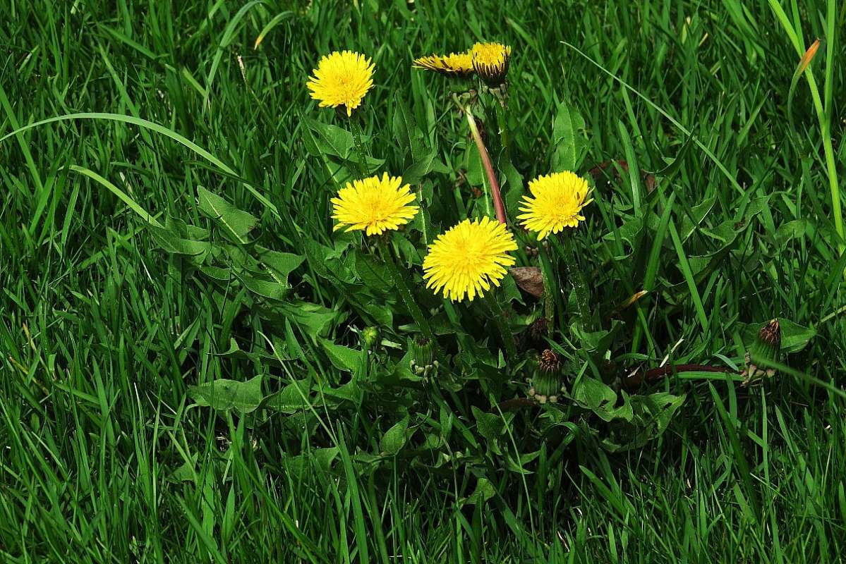 ... ����� Natali  ��������� �� PhotoGeek.ru #������ ��� �������