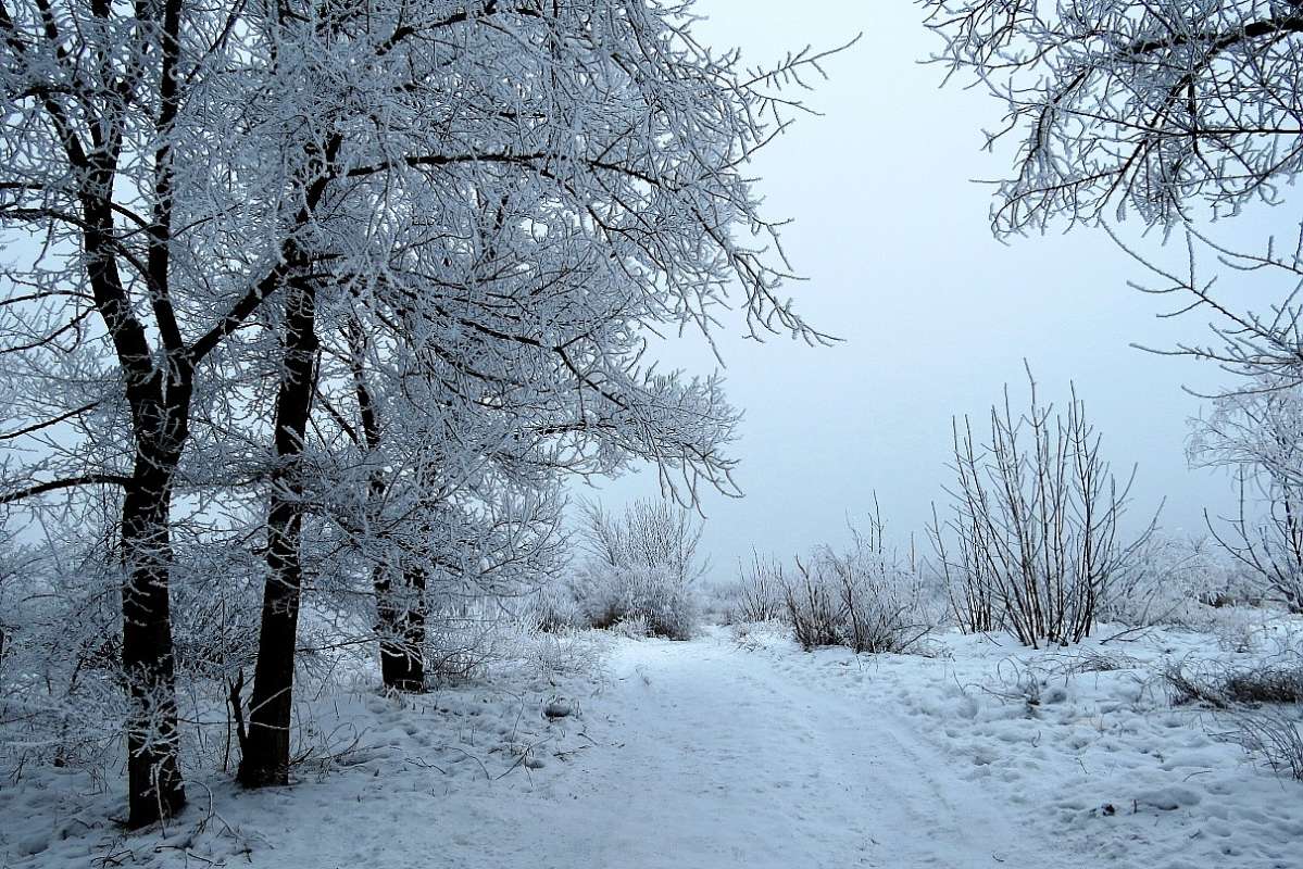 � ������ ������ ����� Natali  ��������� �� PhotoGeek.ru #������ ��� �������