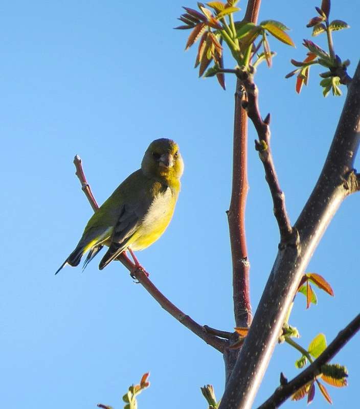 �������� ������� ����� Natali  ��������� �� PhotoGeek.ru #�������� ��� #����� ��� ��� ���������