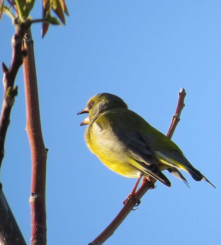 �������� ������� ����� Natali  ��������� �� PhotoGeek.ru #�������� ��� #����� ��� ��� ���������