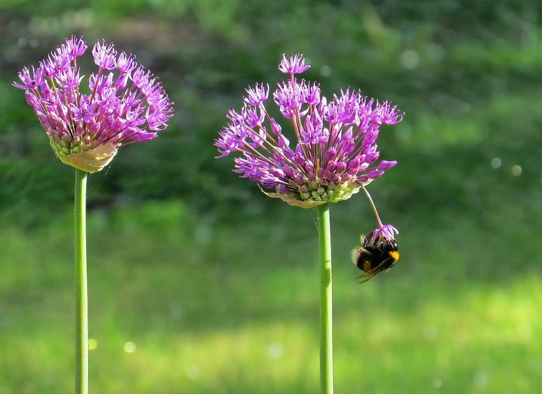 ������� ���������� ����� Natali  ��������� �� PhotoGeek.ru #������ ��� �������