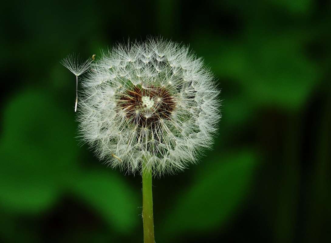 ... ����� Natali  ��������� �� PhotoGeek.ru #������ ��� �������