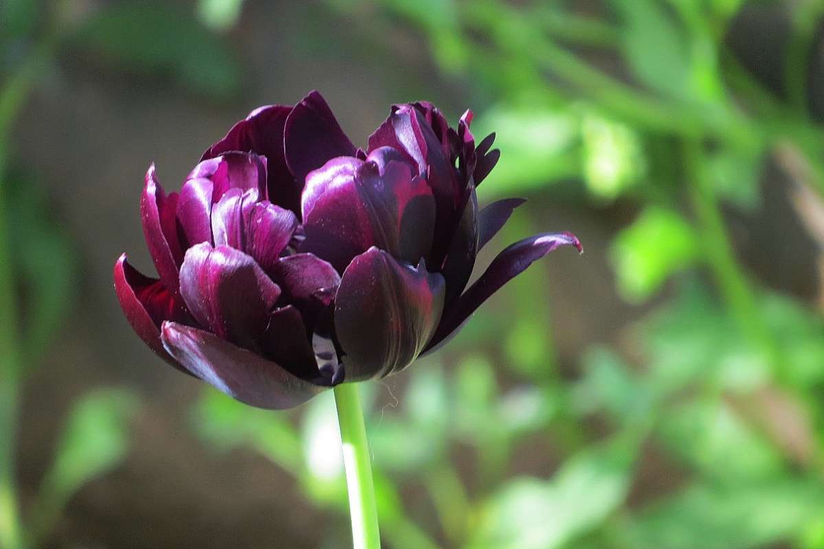 ... ����� Natali  ��������� �� PhotoGeek.ru #������ ��� �������