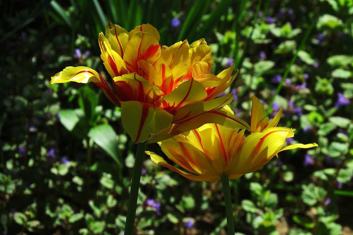 ... ����� Natali  ��������� �� PhotoGeek.ru #������ ��� �������