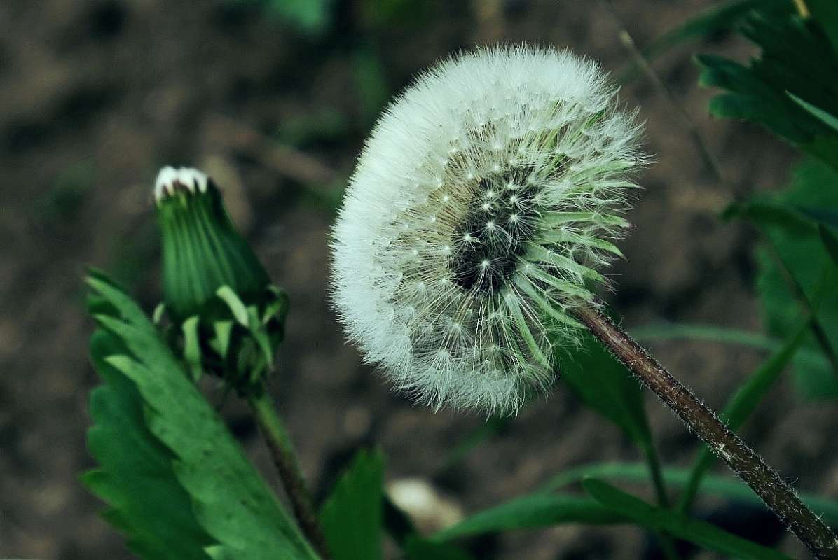 ... ����� Natali  ��������� �� PhotoGeek.ru #������ ��� �������