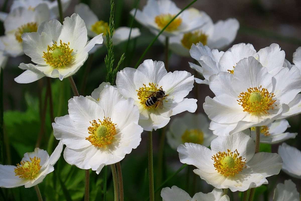 ... ����� Natali  ��������� �� PhotoGeek.ru #������ ��� �������