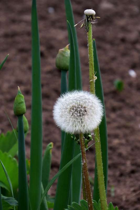 ... ����� Natali  ��������� �� PhotoGeek.ru #������ ��� �������