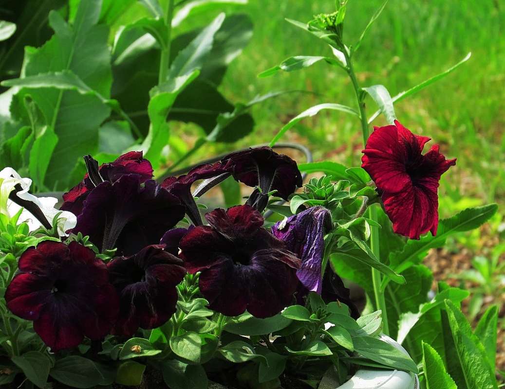 ... ����� Natali  ��������� �� PhotoGeek.ru #������ ��� �������