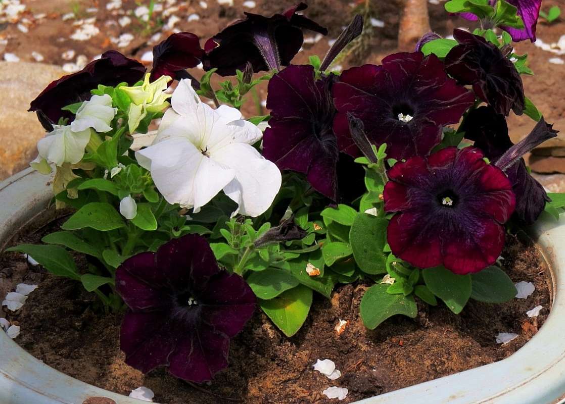 ... ����� Natali  ��������� �� PhotoGeek.ru #������ ��� ������� #����� ��������������