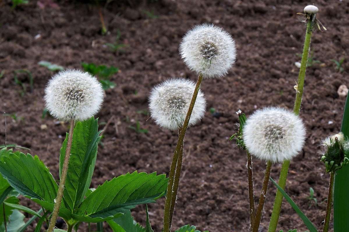 ... ����� Natali  ��������� �� PhotoGeek.ru #������ ��� ������� #����� ��������������