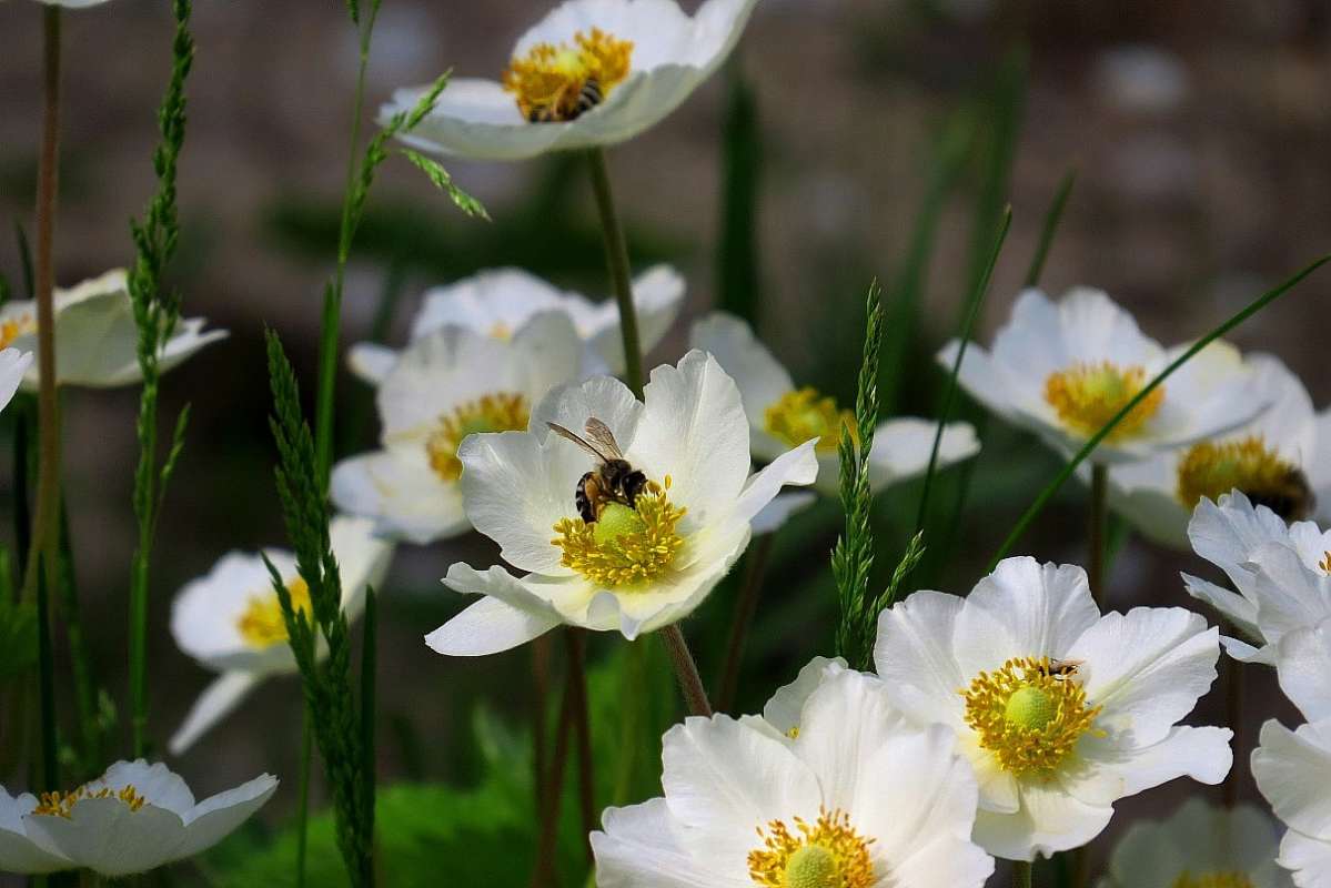 ... ����� Natali  ��������� �� PhotoGeek.ru #������ ��� ������� #����� ��������������