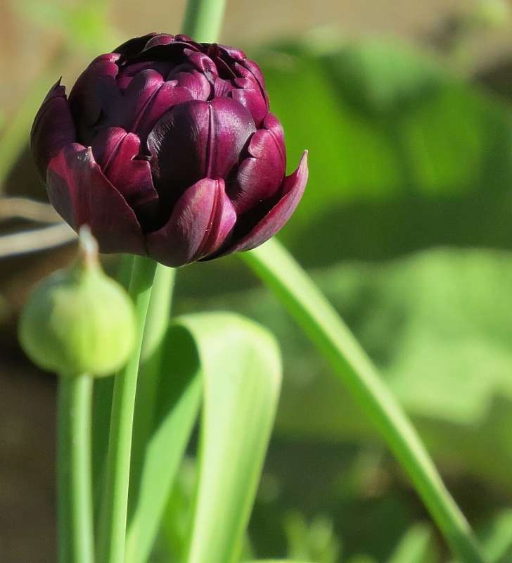 ... ����� Natali  ��������� �� PhotoGeek.ru #������ ��� ������� #����� ��������������