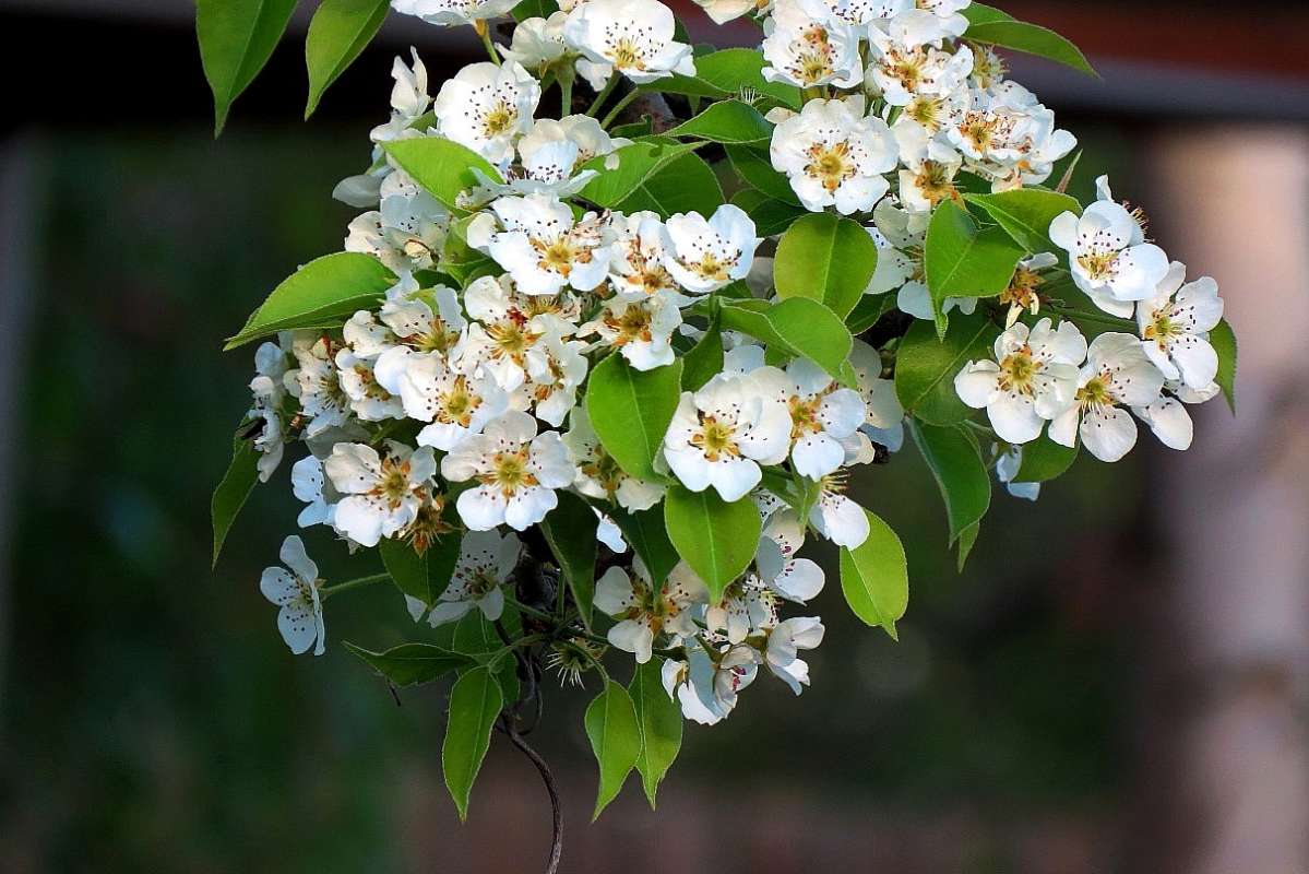 ... ����� Natali  ��������� �� PhotoGeek.ru #������ ��� ������� #����� ��������������