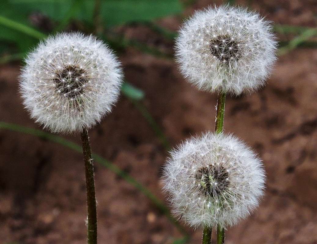 � ���������� ) ����� Natali  ��������� �� PhotoGeek.ru #������ ��� ������� #����� ��������������